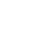 Lungs C5-2