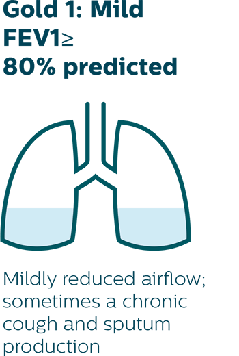 Mildly reduced airflow; sometimes a chronic cough and sputum production