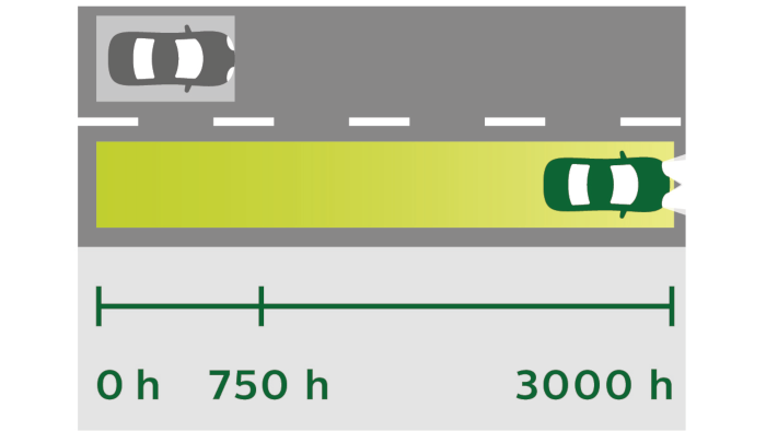 longlife ecovision comparison